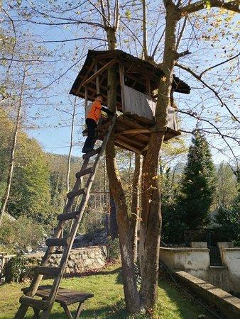 Sağıroğlu Sapanca